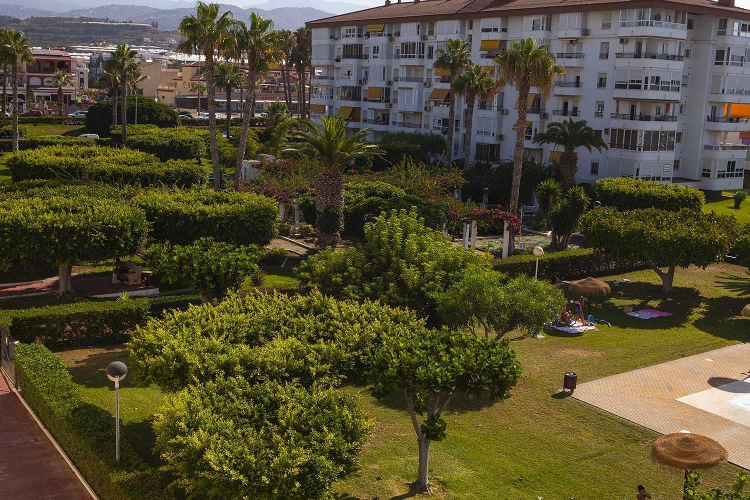 Апартаменти A 100M De Playa Piscina Y Todos Los Servicios Торрокс Екстер'єр фото
